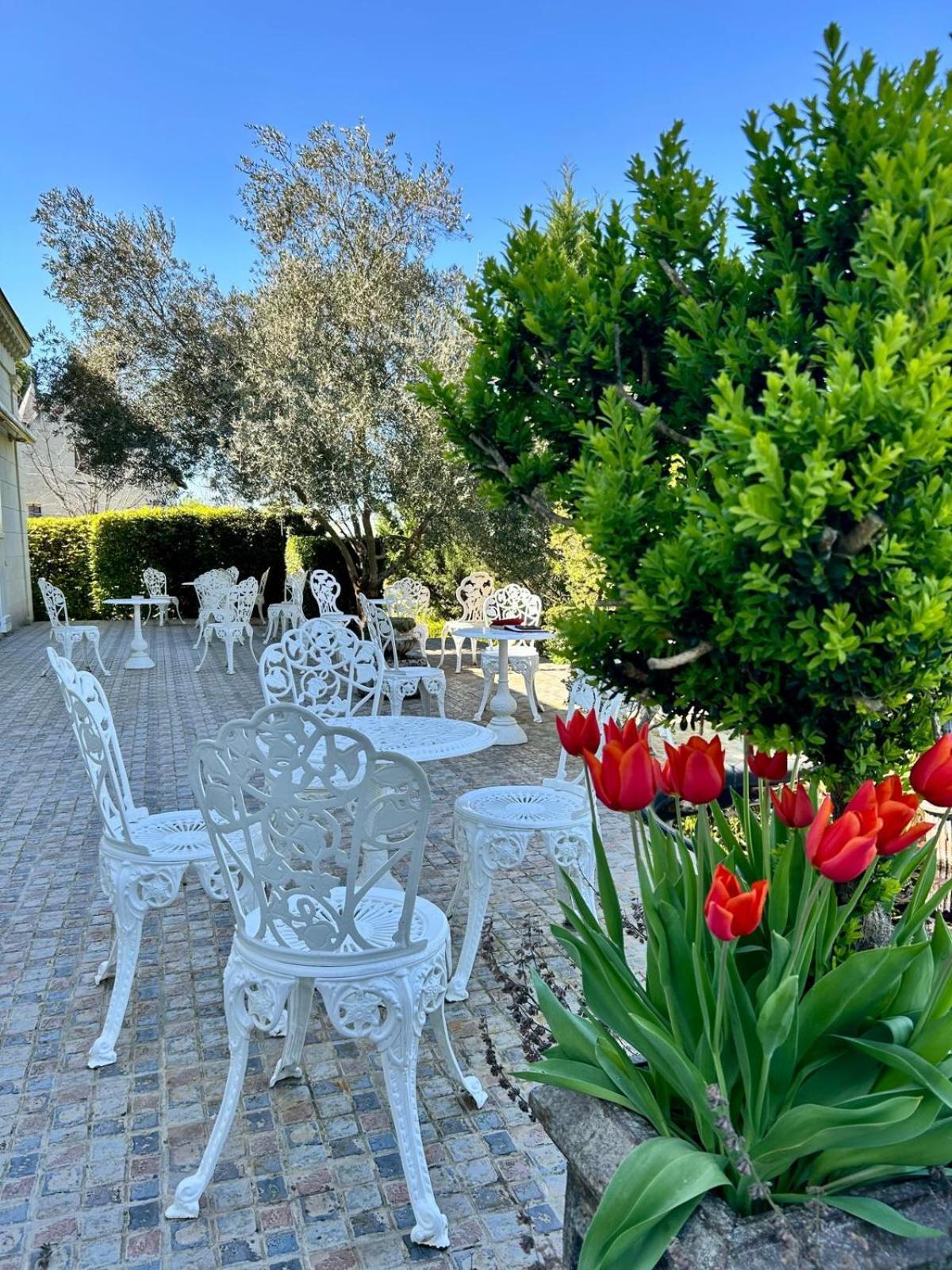 Logis Demeure De La Vignole Hotel Turquant Kültér fotó
